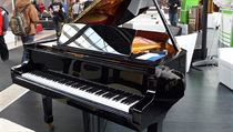 Legendární česká firma Petrof kvůli koronaviru už nevyrábí jen klavíry Piano Petrof na veletrhu. | na serveru Lidovky.cz | aktuální zprávy