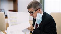 Premiér Andrej Babiš.