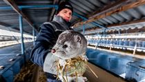 David Vojtíšek na kožešinové farmě ve Velkém Ratmírově. Foto z 26.1.2017.