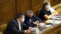 Zleva ministr vnitra Jan Hamáček, premiér Andrej Babiš a ministryně Alena... | na serveru Lidovky.cz | aktuální zprávy