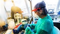 Synlab. Laboratoř, kde se testují vzorky na covid-19. | na serveru Lidovky.cz | aktuální zprávy