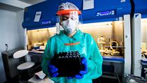 Synlab. Laboratoř, kde se testují vzorky na covid-19. Synlab. Laboratoř, kde se testují vzorky na covid-19.