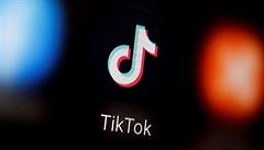 TikTok (ilustraní foto).