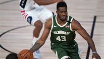 Janis Adetokunbo si příští zápas nezahraje | na serveru Lidovky.cz | aktuální zprávy
