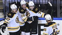 Hokejisté Bostonu se radují z branky. | na serveru Lidovky.cz | aktuální zprávy