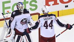 Hrái Columbusu slaví postup do play off NHL.