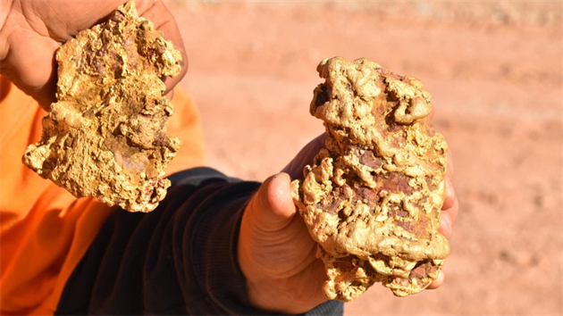 Pár zlatokop nalezl v jiní Austrálii dv zlaté nugety v hodnot zhruba 350...