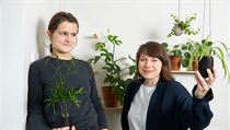 Zuzana Pacourková a Martina Tománková | na serveru Lidovky.cz | aktuální zprávy