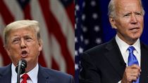 Trump versus Biden