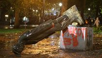 Demonstranti svrhli sochu prezidenta. | na serveru Lidovky.cz | aktuální zprávy