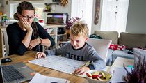 10 tipů na online výuku pro školáky a gymnazisty. Přinášíme praktické rady pedagogů z praxe Šestiletému Honzíkovi pomáhá během online výuky i jeho maminka Tereza. | na serveru Lidovky.cz | aktuální zprávy