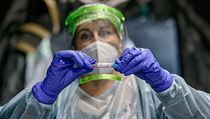 Testování na koronavirus v odběrovém stanu FN Brno. | na serveru Lidovky.cz | aktuální zprávy