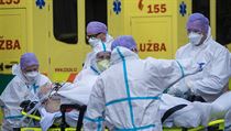 Česko požádalo o pomoc s desítkami covidových pacientů. Léčit se budou v Německu, Švýcarsku a Polsku Převoz pacientů s onemocněním covid-19. | na serveru Lidovky.cz | aktuální zprávy