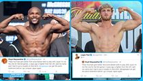 Floyd Mayweather vs. Logan Paul. | na serveru Lidovky.cz | aktuální zprávy