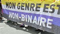 Vlajka s nápisem „Mon genre est non-binaire“ („Moje pohlaví je nebinární“) na... | na serveru Lidovky.cz | aktuální zprávy
