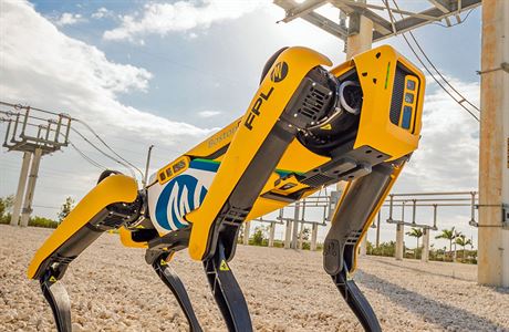 Společnost Boston Dynamics vyvíjí roboty, jež napodobují lidské a zvířecí... | na serveru Lidovky.cz | aktuální zprávy