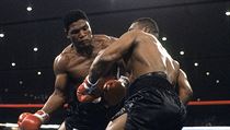 Mike Tyson nedal Trevoru Berbickovi šanci. | na serveru Lidovky.cz | aktuální zprávy