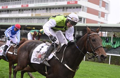 Dostihy (foto ilustrační).