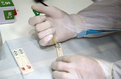 Antigenní testování na covid. | na serveru Lidovky.cz | aktuální zprávy