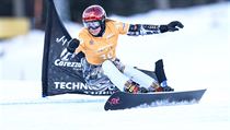 Ester Ledecká | na serveru Lidovky.cz | aktuální zprávy