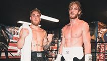 Logan a Jake Paulovi | na serveru Lidovky.cz | aktuální zprávy