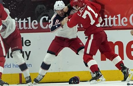 Dylan Larkin v pěstním souboji s kamarádem Zachem Warenskim. | na serveru Lidovky.cz | aktuální zprávy Dylan Larkin v pěstním souboji s kamarádem Zachem Warenskim. | na serveru Lidovky.cz | aktuální zprávy