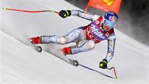 Ester Ledecká | na serveru Lidovky.cz | aktuální zprávy