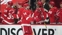 Bobby Ryan odstartoval angažmá v Detroitu povedeně. | na serveru Lidovky.cz | aktuální zprávy