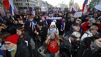 Demonstrace iniciativy Chcípl PES na Václavském náměstí 31. ledna. | na serveru Lidovky.cz | aktuální zprávy