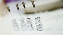 Vakcína firmy Pfizer/BioNtech, | na serveru Lidovky.cz | aktuální zprávy
