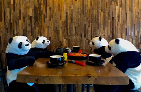 Irská restaurace zavřená kvůli covidu nahradila zákazníky pandami | na serveru Lidovky.cz | aktuální zprávy Irská restaurace zavřená kvůli covidu nahradila zákazníky pandami | na serveru Lidovky.cz | aktuální zprávy