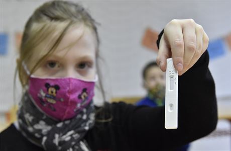 Šílený blázinec, říká o pilotním testování ředitel Černý. Učitelé se mají zaměřit kromě výuky i na pocity žáků Antigenní testování školáků ze slin. | na serveru Lidovky.cz | aktuální zprávy