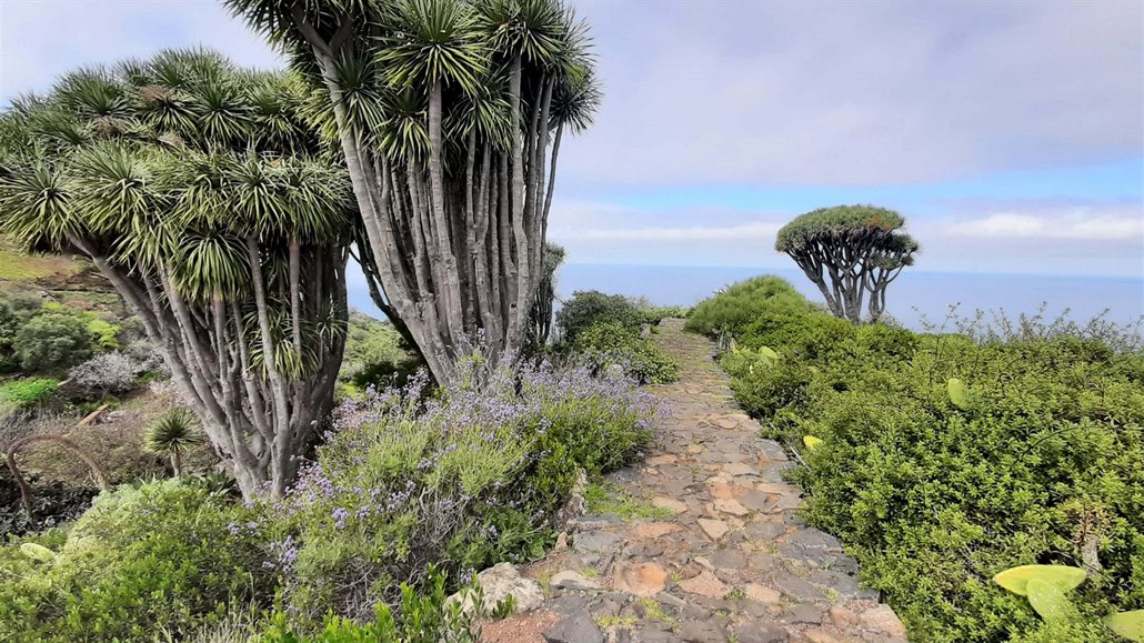 Severozápad ostrova La Palma