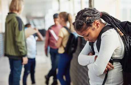 V amerických školách údajně pokračuje rasová segregace. | na serveru Lidovky.cz | aktuální zprávy