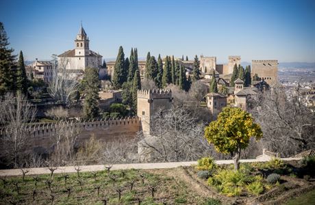 Granada je poměrně zelená | na serveru Lidovky.cz | aktuální zprávy