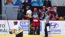 Litvínovský František Lukeš (v bílém) a jeho odchod přes hradeckou střídačku... | na serveru Lidovky.cz | aktuální zprávy