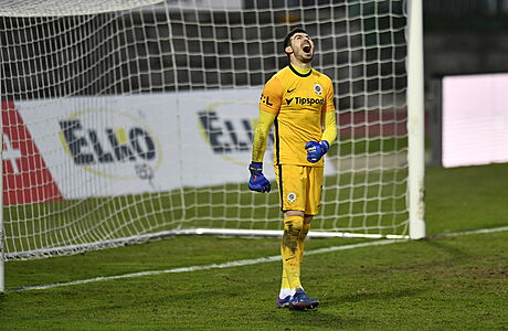 Brankář Sparty Florin Nita poté, co v závěru zápasu Jablonec inkasoval... | na serveru Lidovky.cz | aktuální zprávy Brankář Sparty Florin Nita poté, co v závěru zápasu Jablonec inkasoval... | na serveru Lidovky.cz | aktuální zprávy