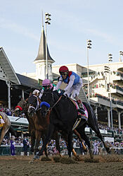 Návrat fanoušků? V USA pustili na dostihy 50 tisíc lidí, kluby se spoléhají na aplikaci i ‚bezrouškové’ sektory Zaplněné tribuny na Kentucky derby | na serveru Lidovky.cz | aktuální zprávy