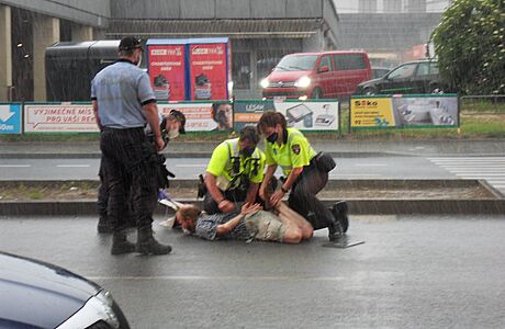 Demonstrant narušoval dopravu, tak jej policisté zpacifikovali | na serveru Lidovky.cz | aktuální zprávy