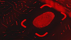 4 důvody, proč si chránit digitální identitu | na serveru Lidovky.cz | aktuální zprávy