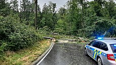 Při bouřce 8. července 2021 u Čížové na Písecku spadl strom na osobní auto a... | na serveru Lidovky.cz | aktuální zprávy