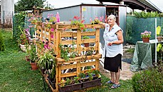 David Macháč - z cyklu Zahrádkáři.