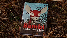 Kniha Bambi aneb Píbh z les.