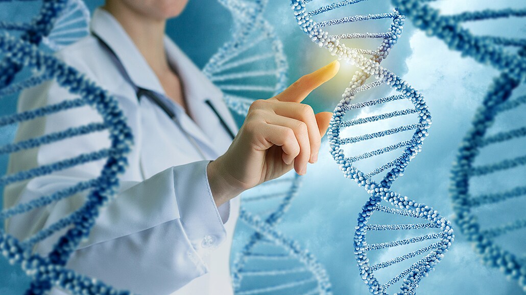 Genetici zaplnili vtinu mezer v lidském genomu