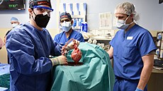 Lékaři provedli první transplantace, při kterých voperovali těžce nemocným... Lékaři provedli první transplantace, při kterých voperovali těžce nemocným...