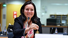 Rusko hraje vabank. Největší úspěch bude nyní v diplomacii otupit hrany, říká... | na serveru Lidovky.cz | aktuální zprávy