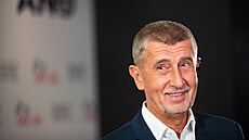 Předseda hnutí ANO Andrej Babiš