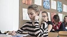 Ukaž, co umíš. Všechny žáky, kteří budou skládat jednotné přijímací zkoušky na... | na serveru Lidovky.cz | aktuální zprávy