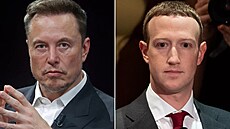 Elon Musk a Mark Zuckerberg.