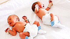 Novorozená dvojata - ilustraní foto